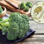 Il broccolo (Brassica oleracea var. italica), pianta della famiglia delle Brassicaceae, è noto per l’elevato contenuto di vitamine e minerali fondamentali