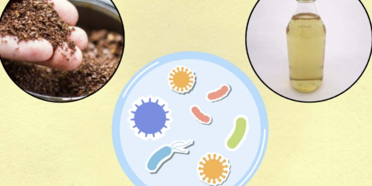 Questi due ingredienti di uso quotidiano in cucina, se uniti correttamente, possono trasformarsi in un potente alleato per la pulizia domestica
