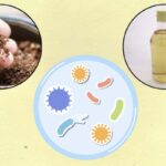Questi due ingredienti di uso quotidiano in cucina, se uniti correttamente, possono trasformarsi in un potente alleato per la pulizia domestica