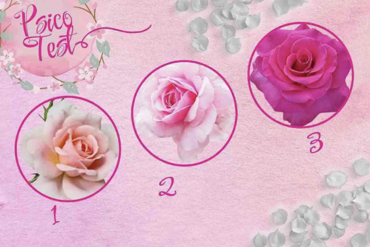 Il meccanismo è tanto semplice quanto coinvolgente: osservare attentamente una serie di rose e selezionare quella che più colpisce